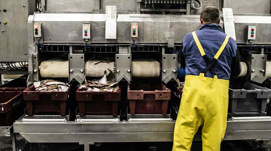 Die Tool Manufacturer